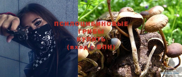 дурь Белоозёрский