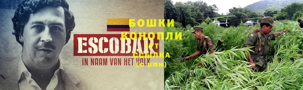 индика Богородск