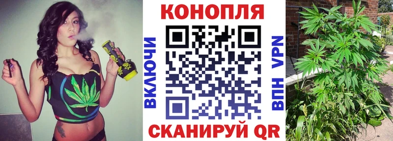 Канабис планчик  Кировград 